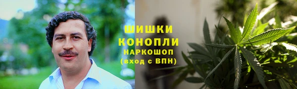 индика Богданович