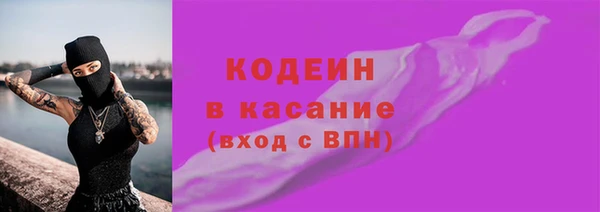 индика Богданович